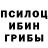 Псилоцибиновые грибы мицелий Vero Niko