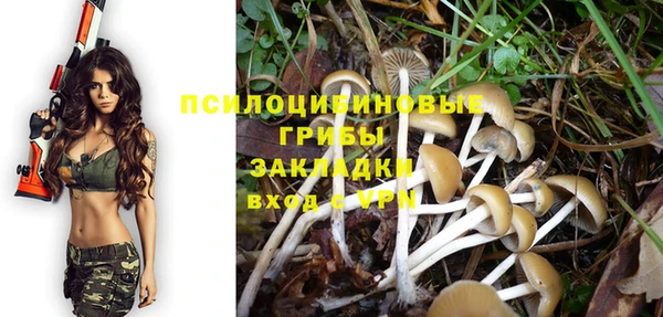 не бодяженный Алексин