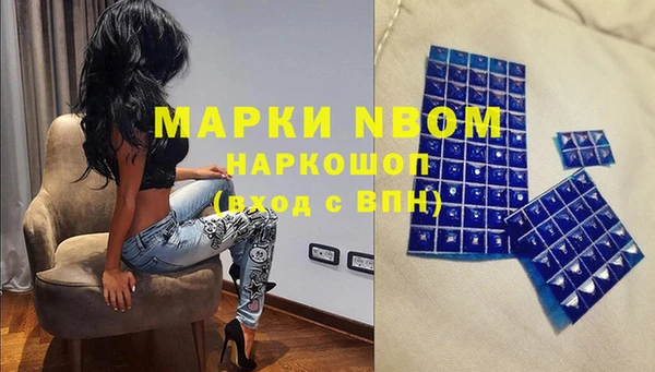 хмурый Абаза