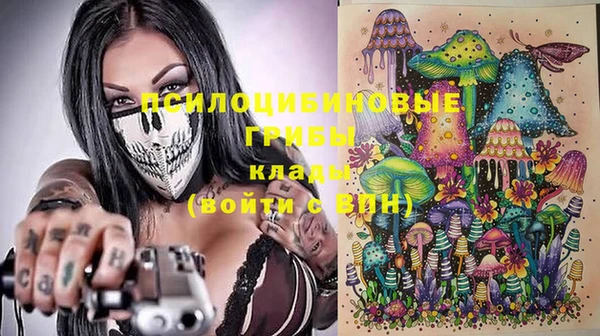 не бодяженный Алексин