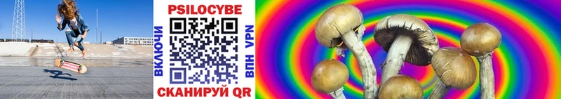 Галлюциногенные грибы GOLDEN TEACHER  сайты даркнета клад  Брянск  закладки 